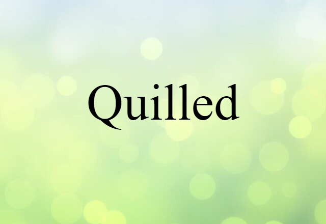 Quilled (noun) Definition, Meaning & Examples