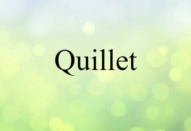 Quillet (noun) Definition, Meaning & Examples