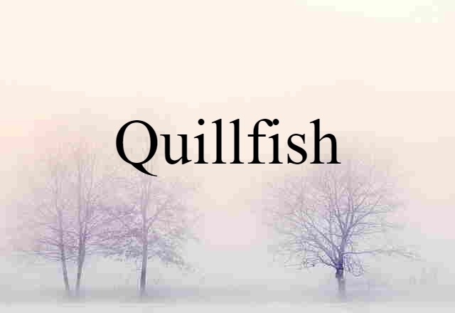 quillfish