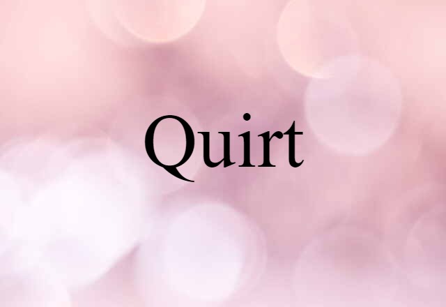 Quirt (noun) Definition, Meaning & Examples