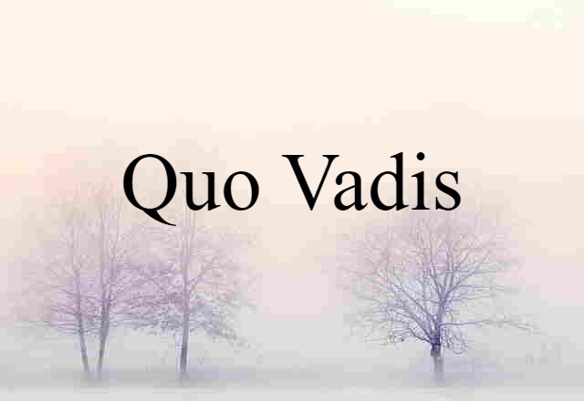 Quo Vadis (noun) Definition, Meaning & Examples