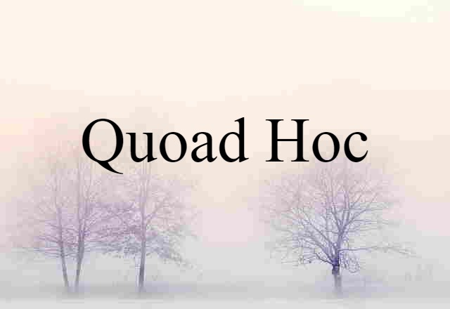 Quoad Hoc (noun) Definition, Meaning & Examples