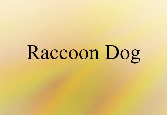 Raccoon Dog (noun) Definition, Meaning & Examples