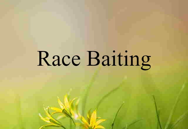 Race-baiting (noun) Definition, Meaning & Examples