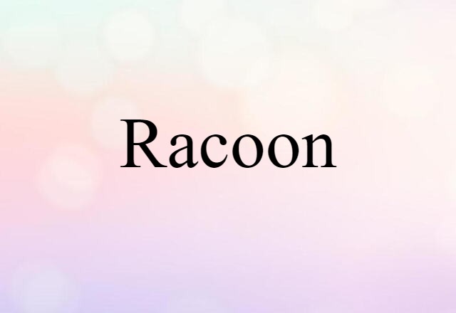 Racoon (noun) Definition, Meaning & Examples