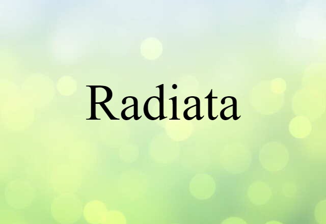 Radiata