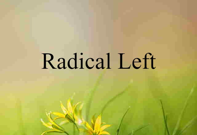 Radical Left (noun) Definition, Meaning & Examples