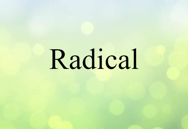 Radical (noun) Definition, Meaning & Examples