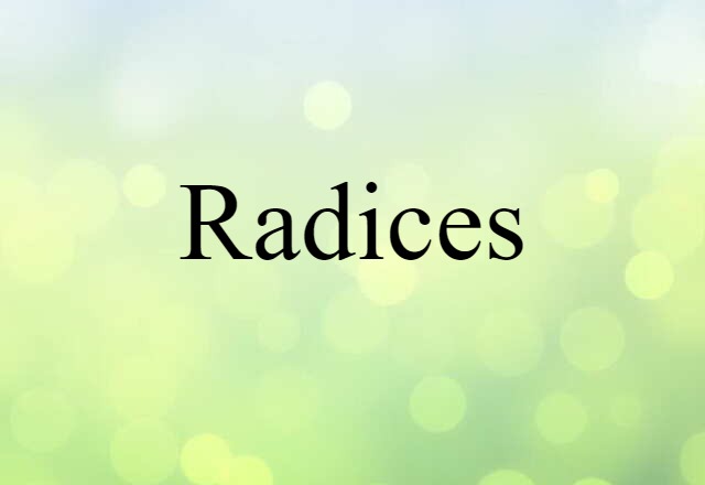 Radices (noun) Definition, Meaning & Examples