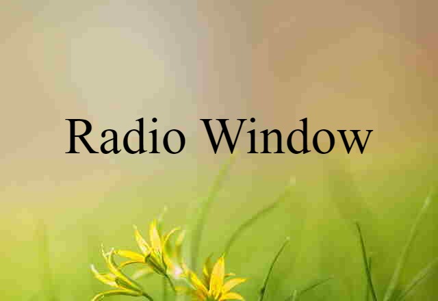 Radio Window (noun) Definition, Meaning & Examples