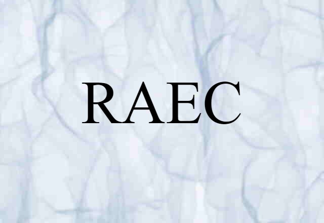 RAEC (noun) Definition, Meaning & Examples