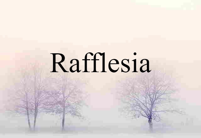 rafflesia