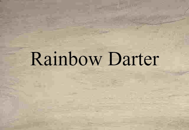 Rainbow Darter (noun) Definition, Meaning & Examples