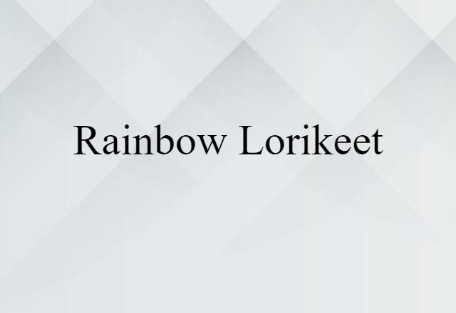 Rainbow Lorikeet (noun) Definition, Meaning & Examples