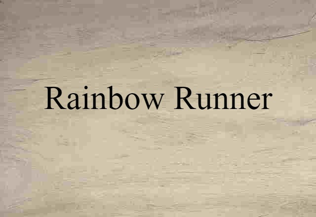 rainbow runner