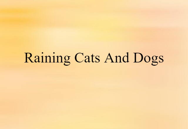 Raining Cats And Dogs (noun) Definition, Meaning & Examples