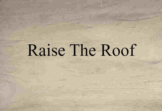 Raise The Roof (noun) Definition, Meaning & Examples