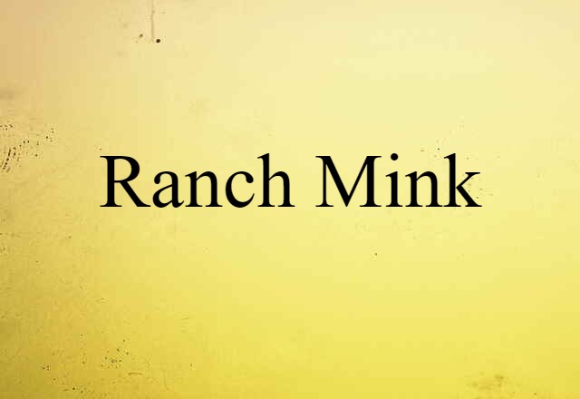 Ranch Mink (noun) Definition, Meaning & Examples