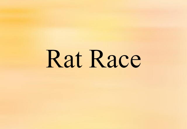 Rat Race (noun) Definition, Meaning & Examples