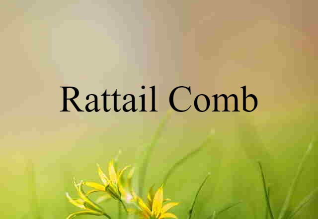 Rattail Comb (noun) Definition, Meaning & Examples