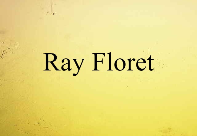 Ray Floret (noun) Definition, Meaning & Examples