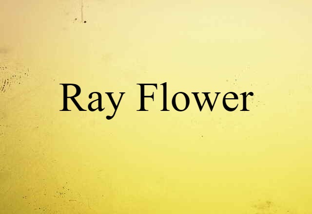 ray flower