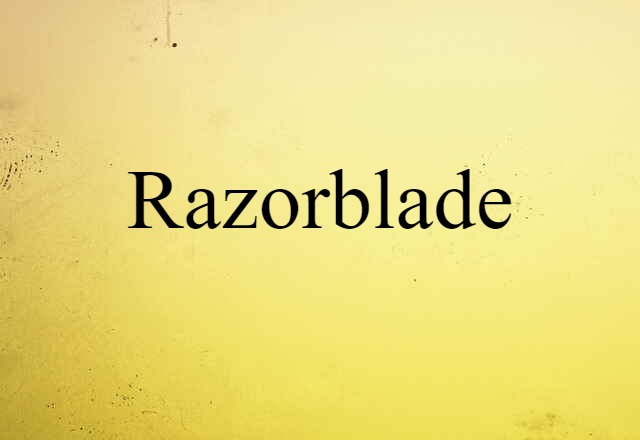 Razorblade (noun) Definition, Meaning & Examples