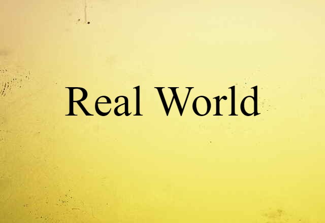 Real World (noun) Definition, Meaning & Examples