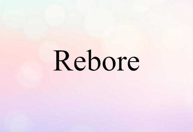 rebore