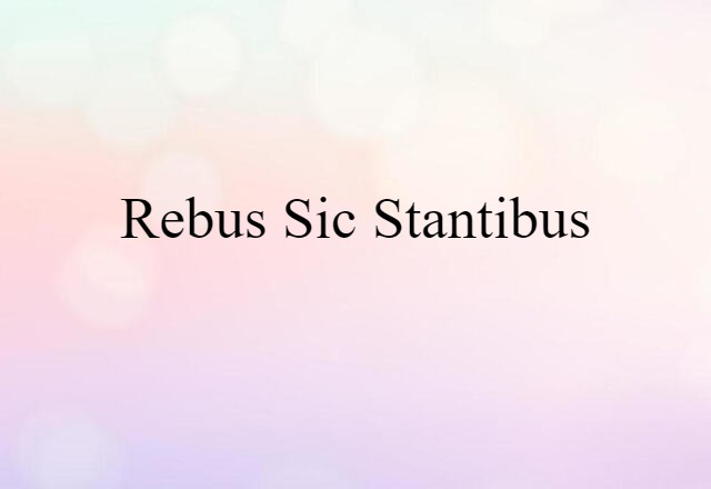 rebus sic stantibus