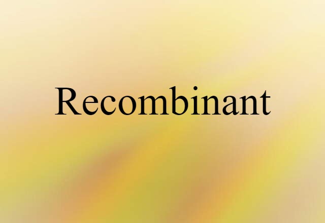 Recombinant (noun) Definition, Meaning & Examples