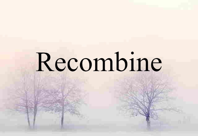 Recombine (noun) Definition, Meaning & Examples