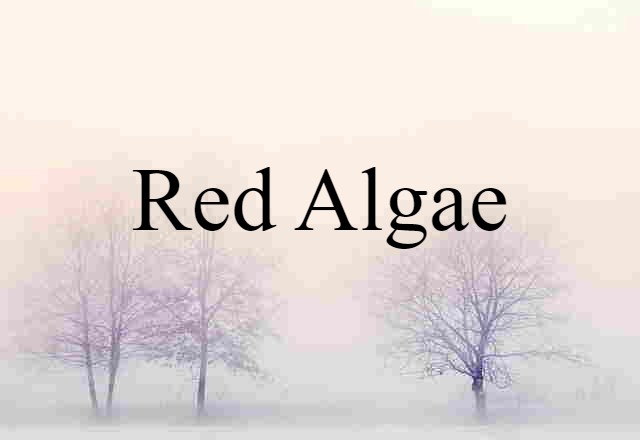 red algae