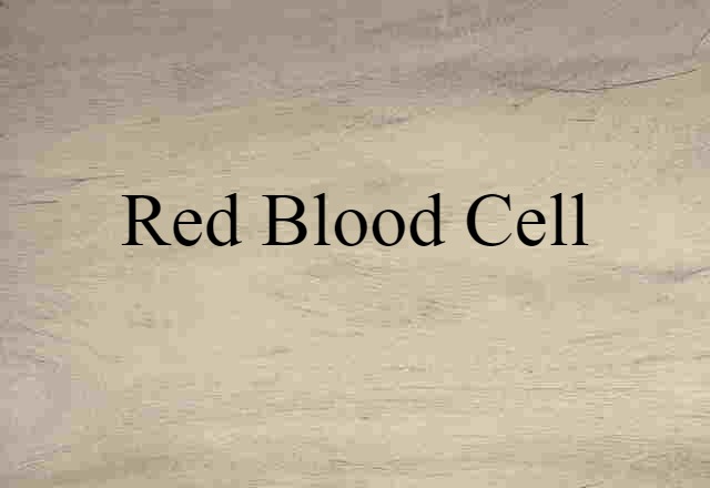 red blood cell