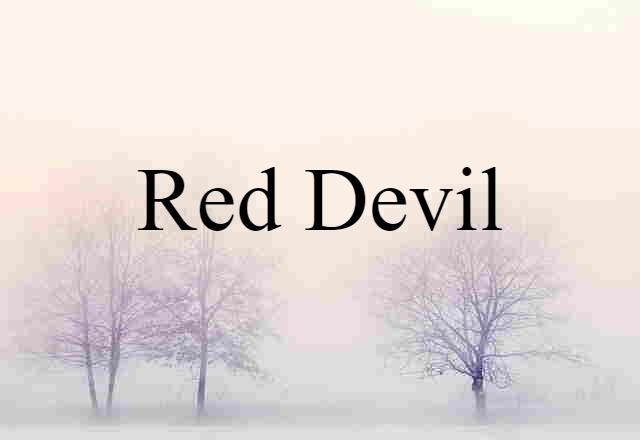 Red Devil (noun) Definition, Meaning & Examples