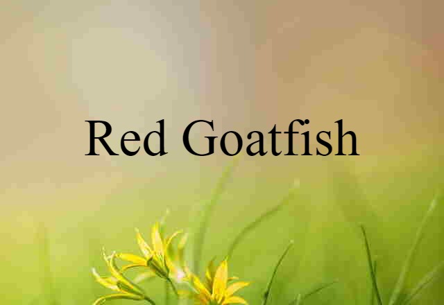 red goatfish