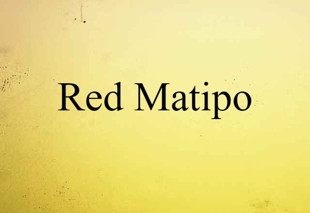 Red Matipo (noun) Definition, Meaning & Examples