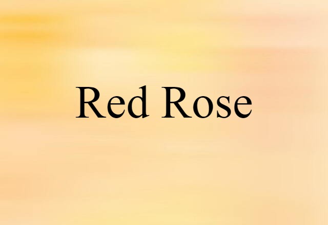 red rose