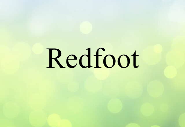 redfoot