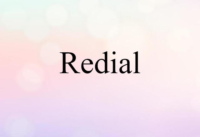 Redial (noun) Definition, Meaning & Examples