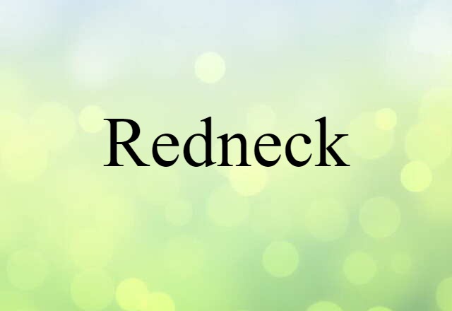 Redneck (noun) Definition, Meaning & Examples