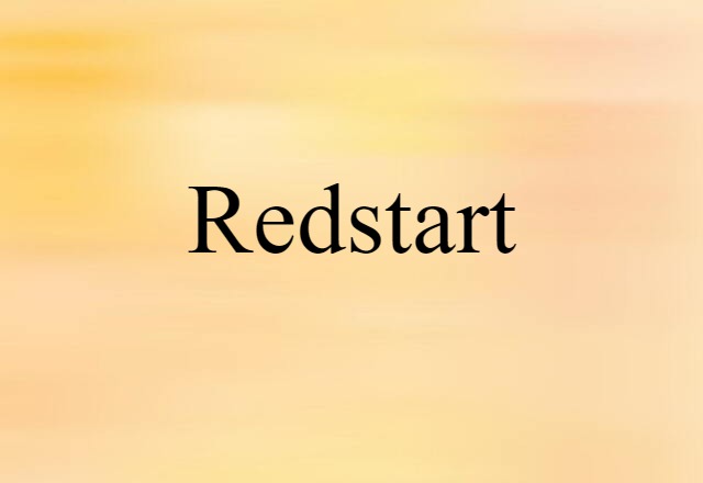 Redstart (noun) Definition, Meaning & Examples