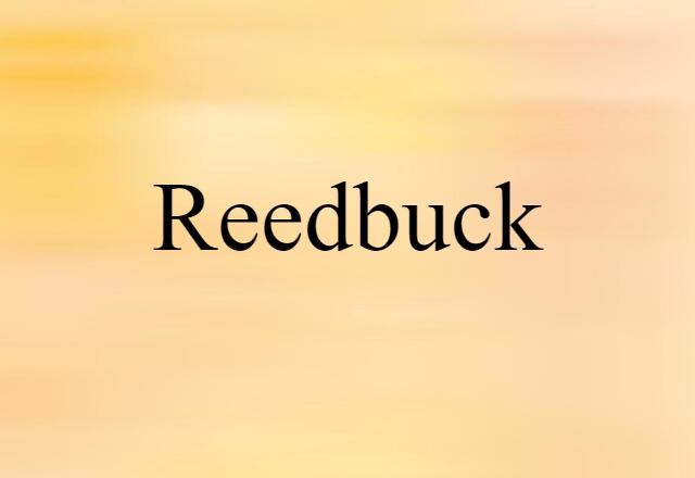 reedbuck