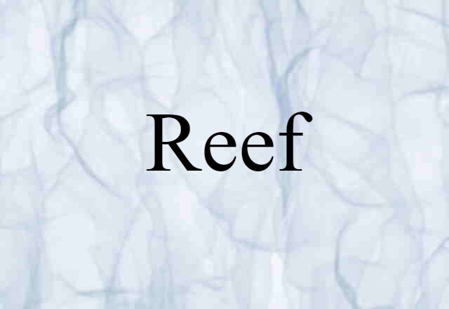 Reef (noun) Definition, Meaning & Examples