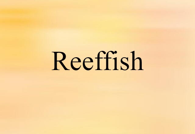 reeffish