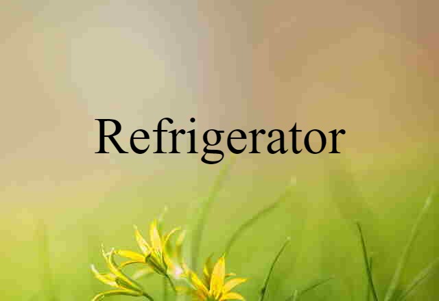 Refrigerator (noun) Definition, Meaning & Examples