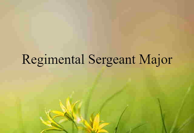 Regimental Sergeant Major (noun) Definition, Meaning & Examples