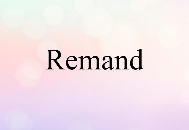 Remand (noun) Definition, Meaning & Examples