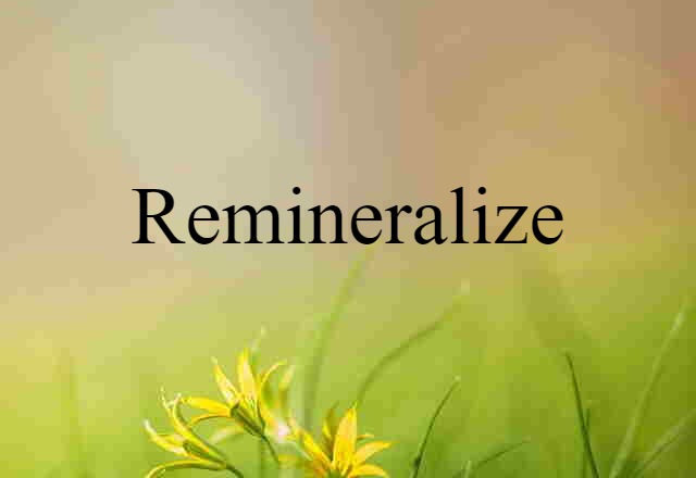 Remineralize (noun) Definition, Meaning & Examples