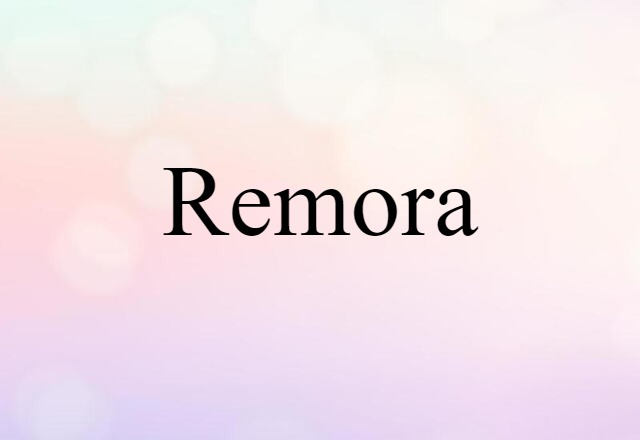 Remora (noun) Definition, Meaning & Examples